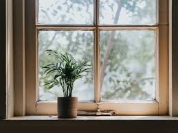 Window Boards